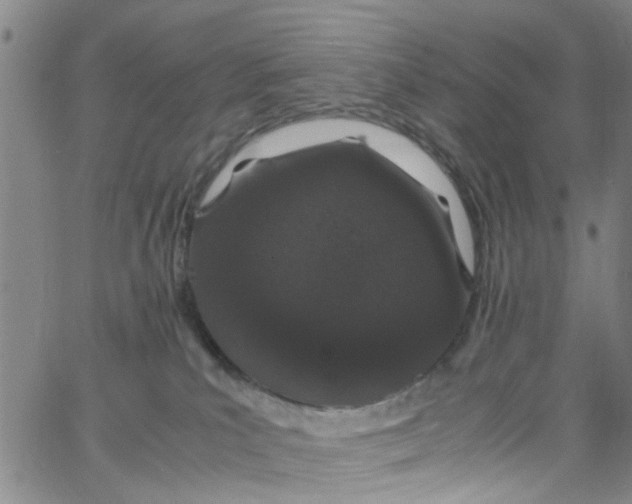 X0000062800039200601121352