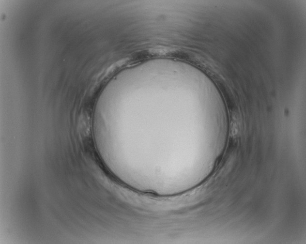 X0000062800043200601121352