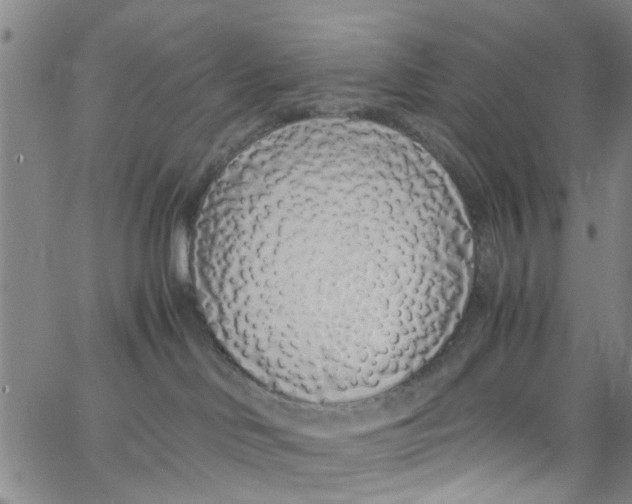 X0000062800046200601121352