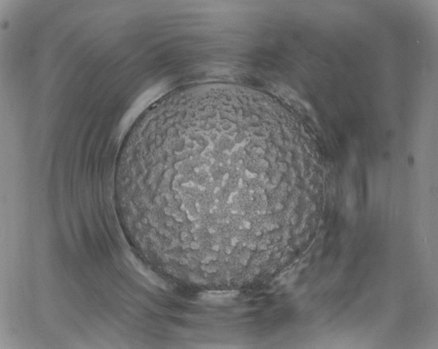 X0000062800051200601121351