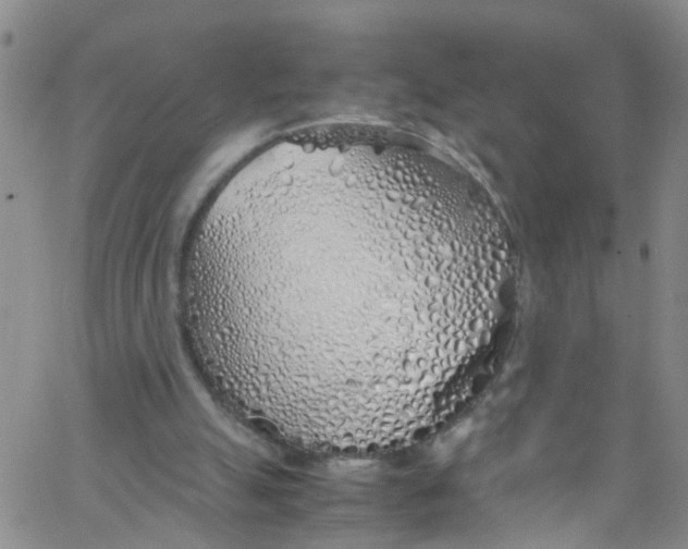 X0000062800055200601121351