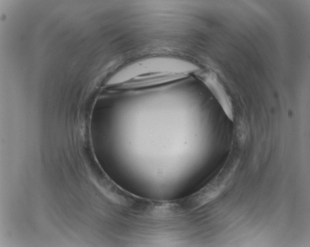 X0000062800072200601121351