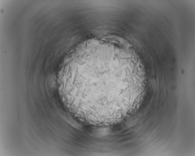 X0000062800081200601121351