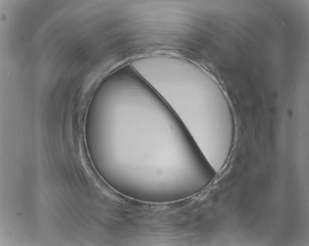 X0000062800097200601121351