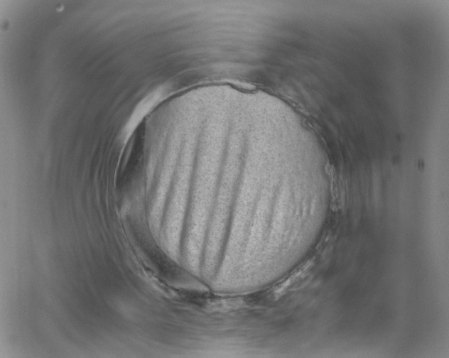 X0000062800099200601121351