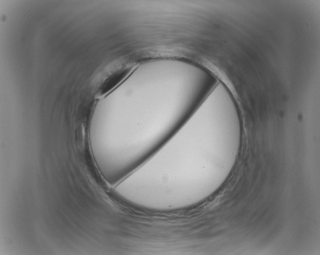 X0000062800109200601121351