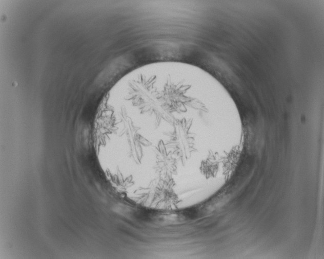 X0000062800123200601121350