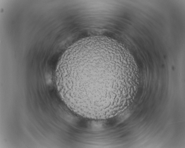 X0000062800134200601121350
