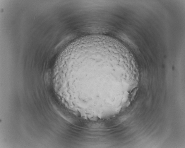 X0000062800165200601121350