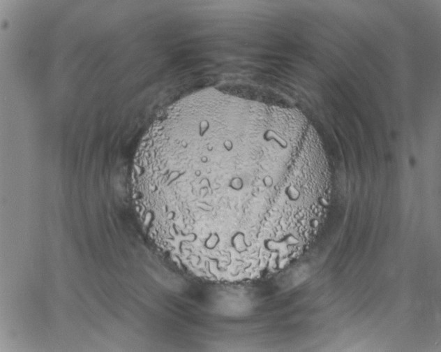 X0000062800181200601121350