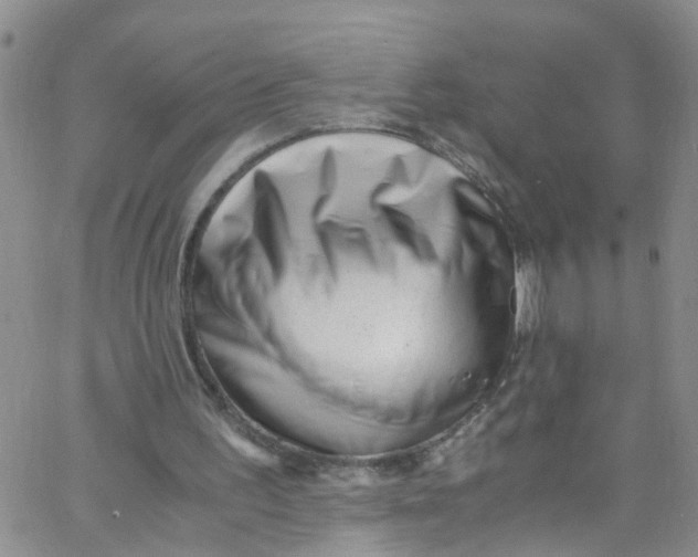 X0000062800195200601121349