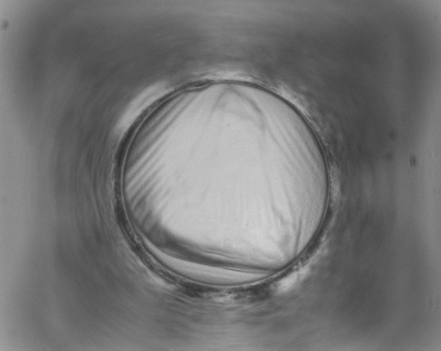 X0000062800199200601121349