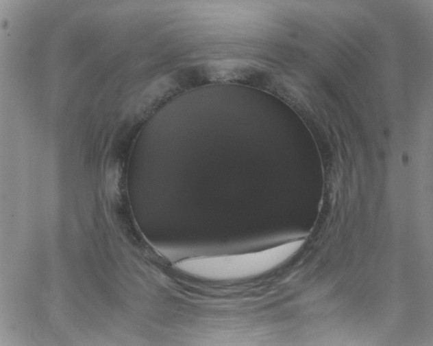 X0000062800219200601121349