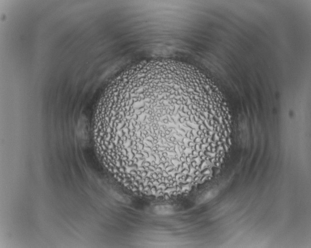 X0000062800228200601121349