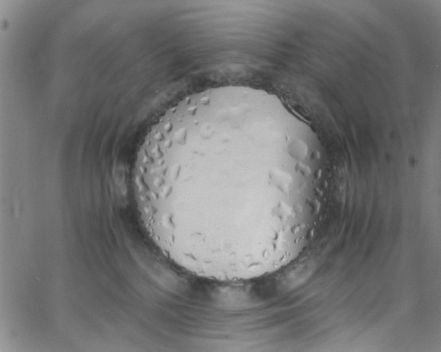 X0000062800232200601121348
