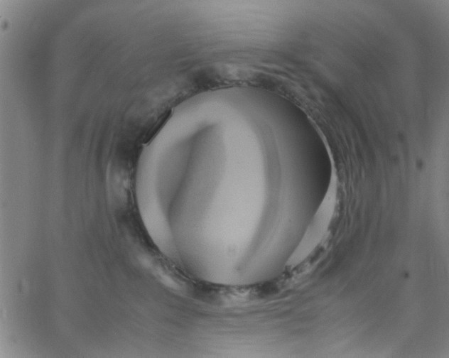 X0000062800235200601121348