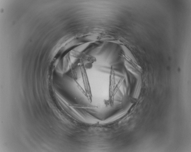 X0000062800242200601121348