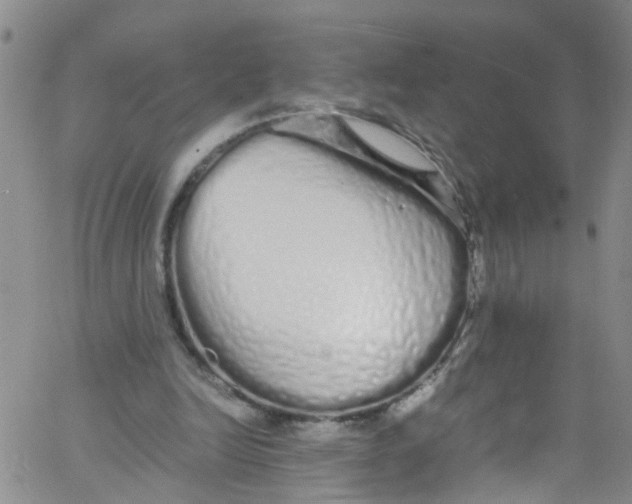 X0000062800246200601121348