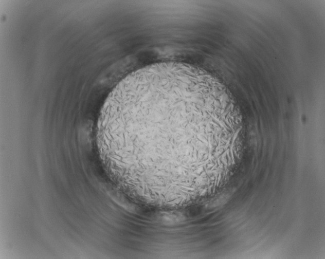 X0000062800275200601121348