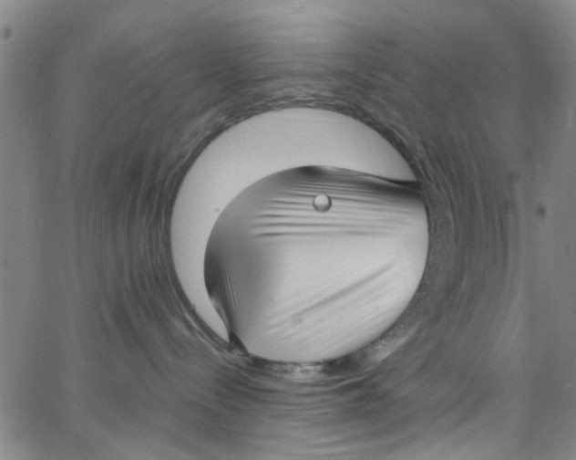 X0000062800288200601121348