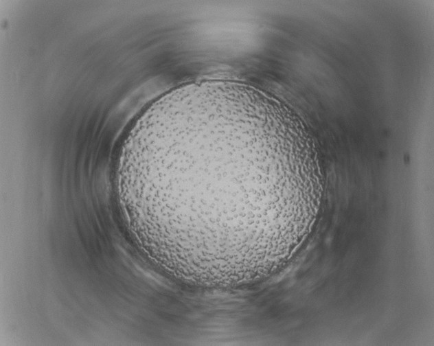 X0000062800290200601121347