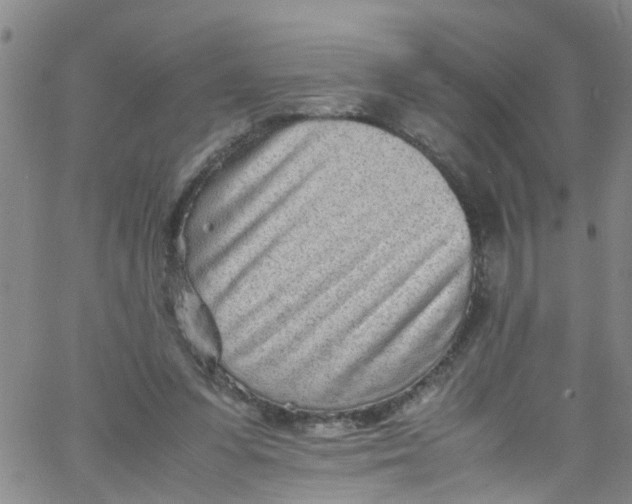 X0000062800303200601121347