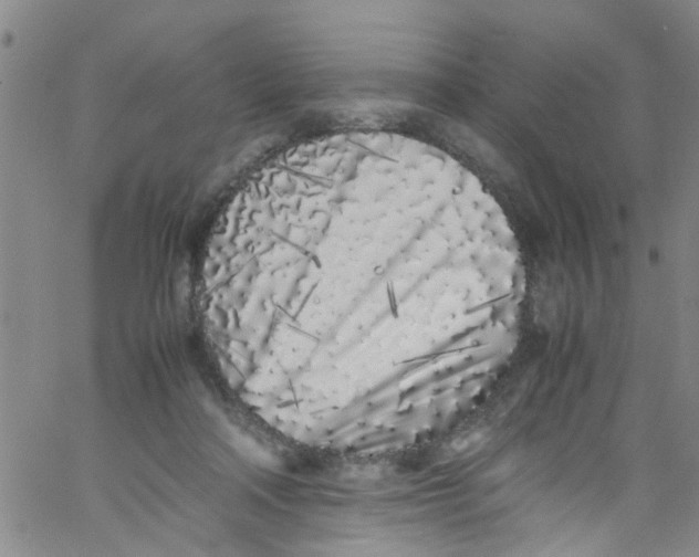 X0000062800314200601121347