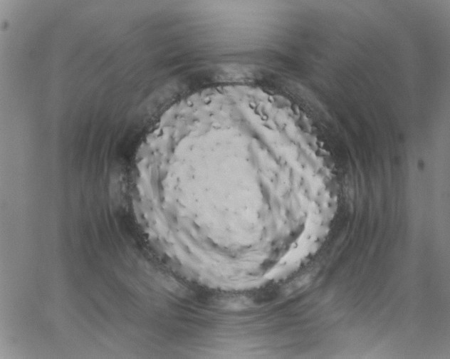 X0000062800322200601121347