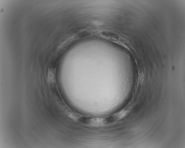 X0000062800335200601121347