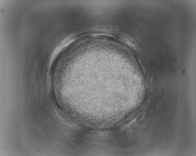 X0000062800343200601121346