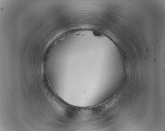 X0000062800350200601121346