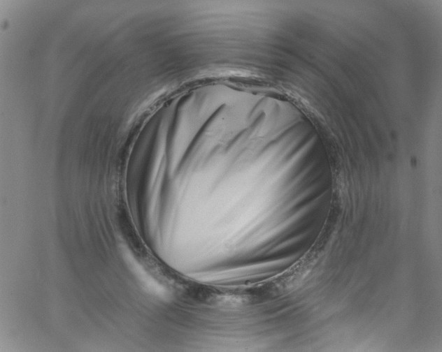 X0000062800352200601121346