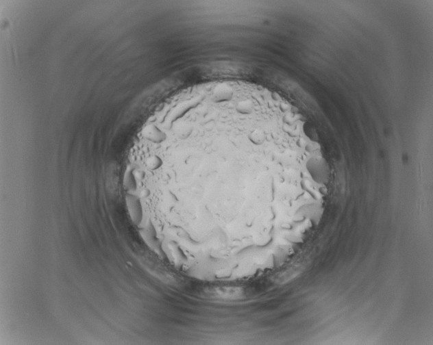 X0000062800361200601121346