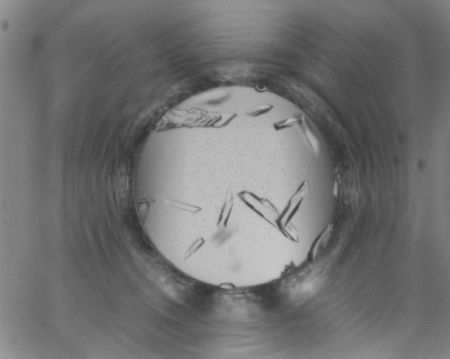 X0000062800372200601121346