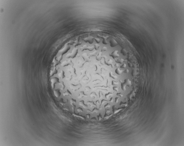 X0000062800386200601121346