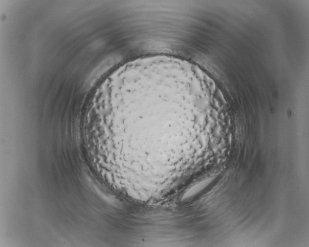 X0000062800390200601121346