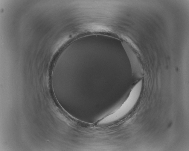 X0000062800391200601121346