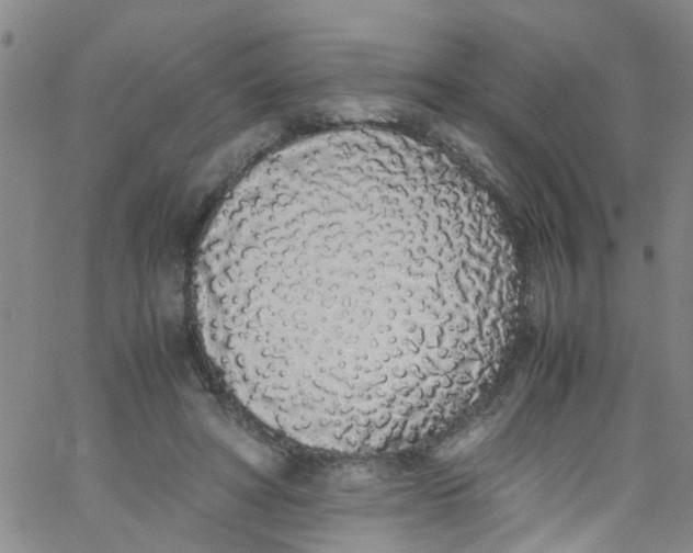 X0000062800402200601121345