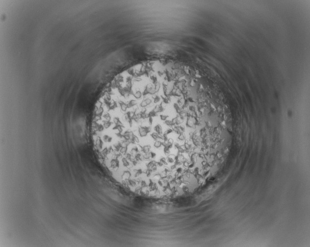 X0000062800420200601121345