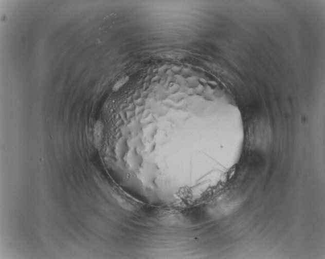 X0000062800424200601121345