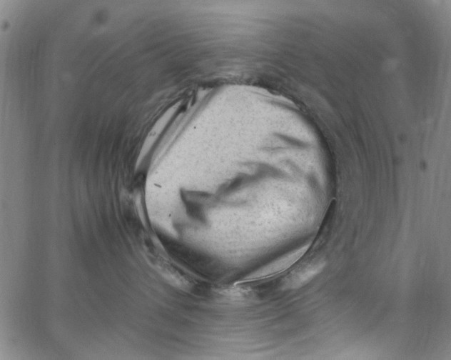 X0000062800432200601121345
