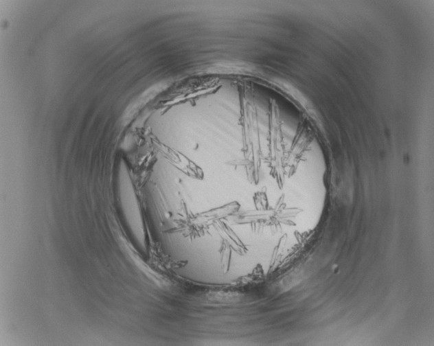 X0000062800437200601121344