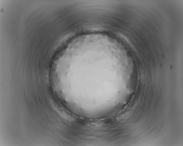 X0000062800447200601121344