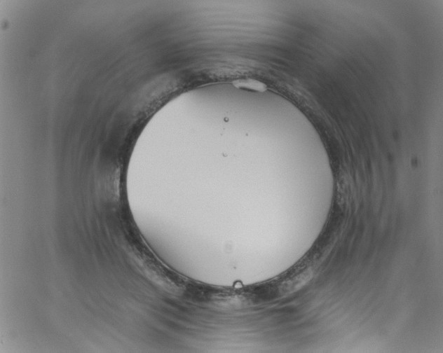 X0000062800454200601121345