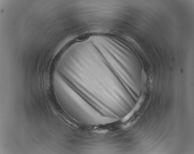 X0000062800484200601121344