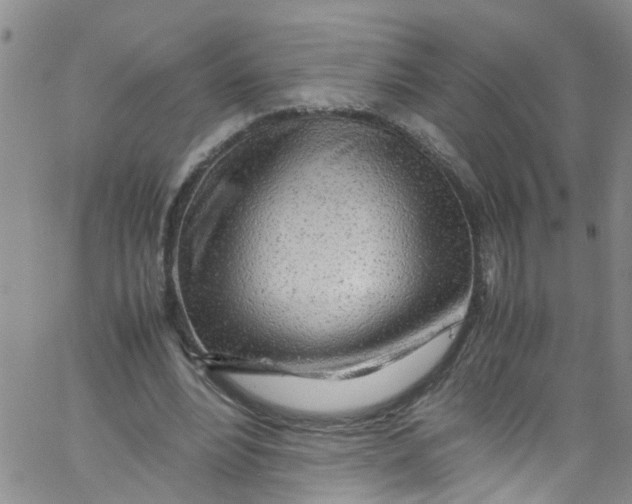 X0000062800488200601121344