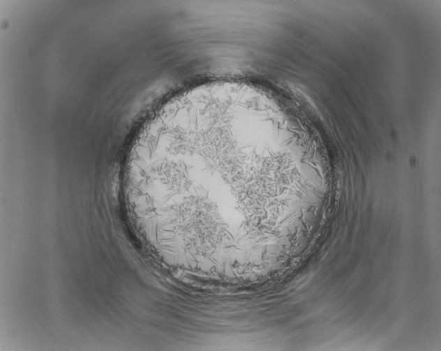 X0000062800495200601121344