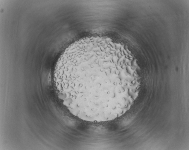 X0000062800502200601121344