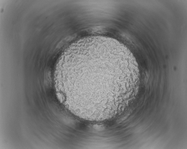 X0000062800506200601121344