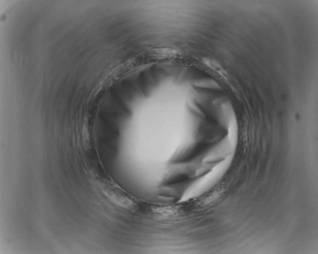 X0000062800516200601121344